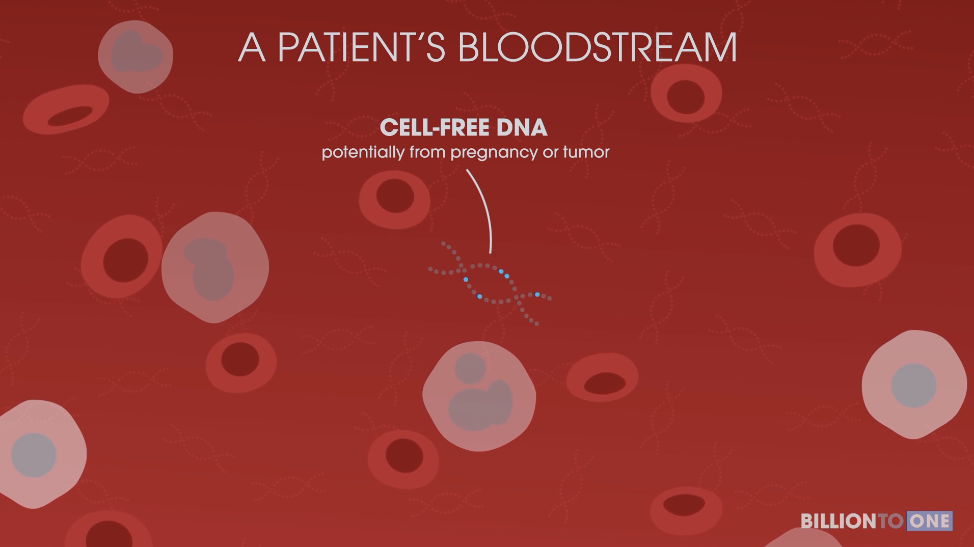 A patient's blood stream cell-free DNA